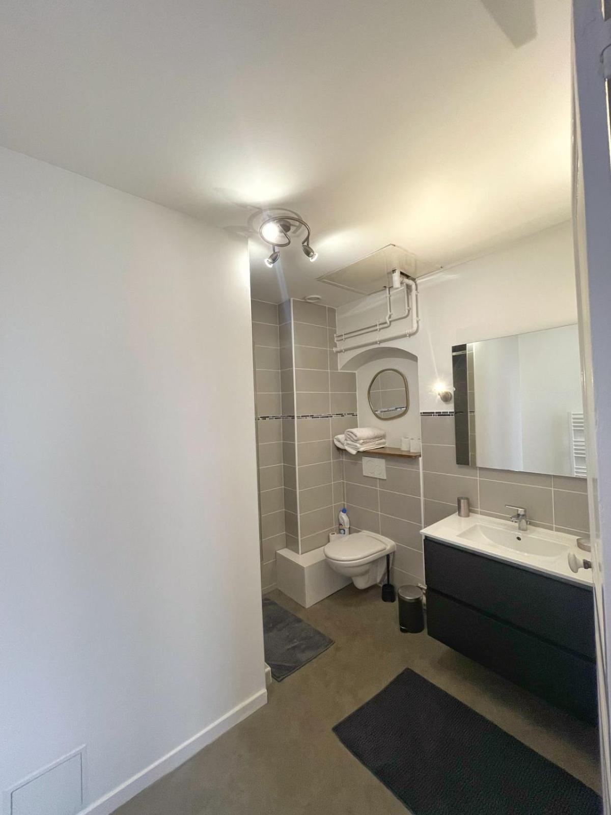 Center Macon Charmant Appartement Avec Vue Sur La Saone Ngoại thất bức ảnh
