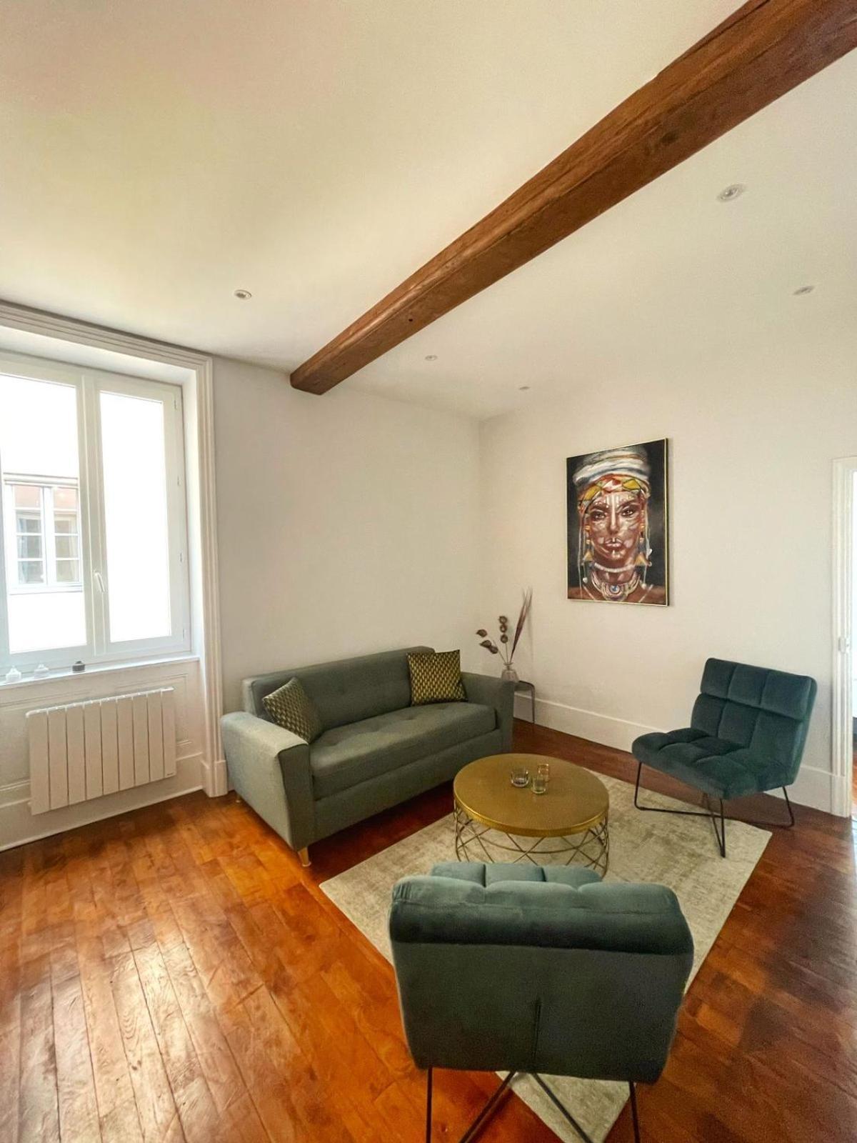 Center Macon Charmant Appartement Avec Vue Sur La Saone Ngoại thất bức ảnh