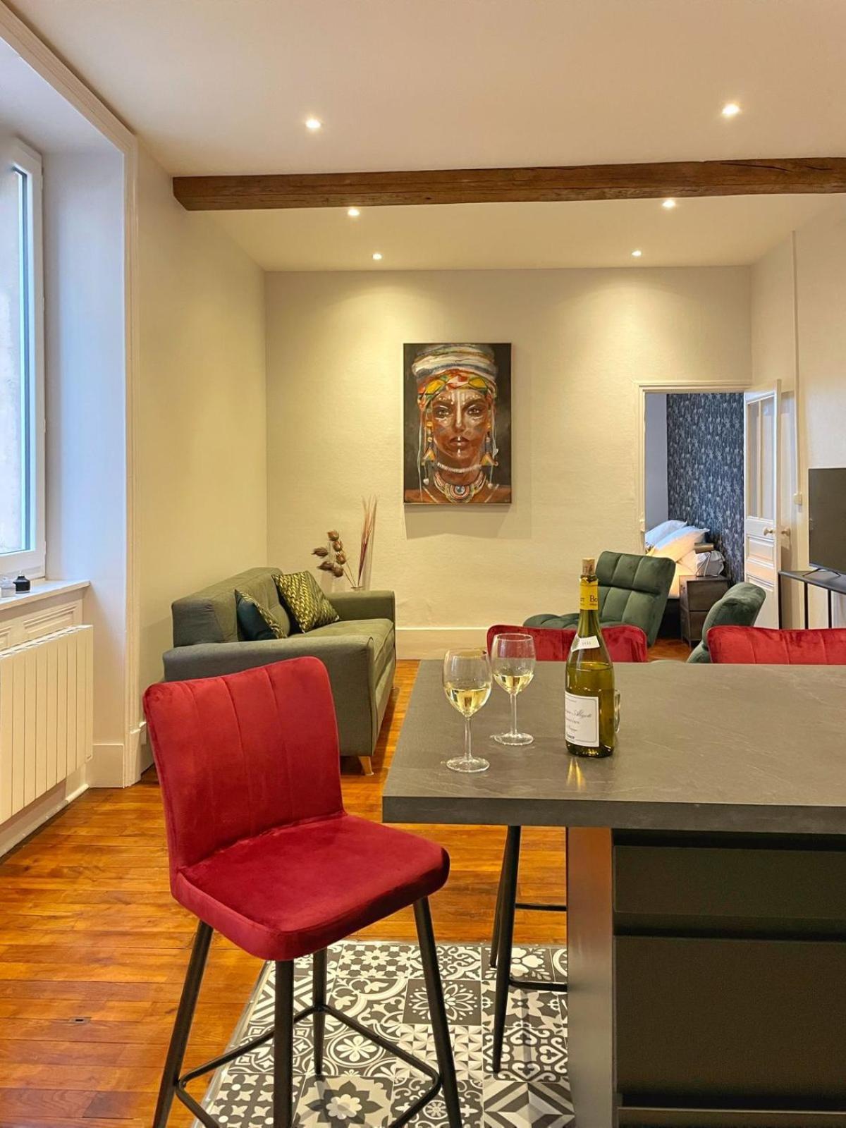 Center Macon Charmant Appartement Avec Vue Sur La Saone Ngoại thất bức ảnh